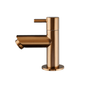 Aquila - Fontänenarmatur Bronze - Kaltes Wasser