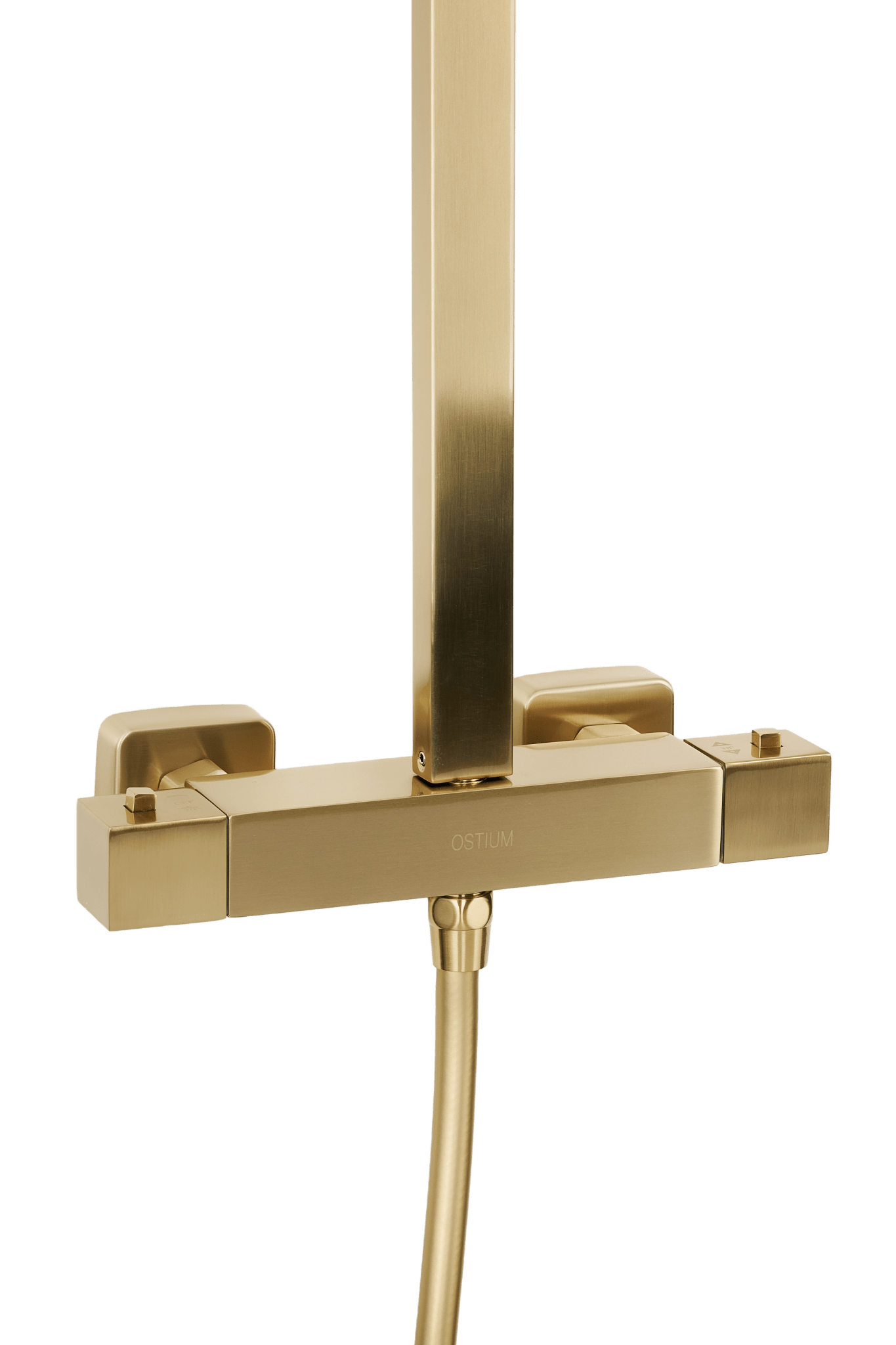 Voltri - Goldene Dusche - quadratisch