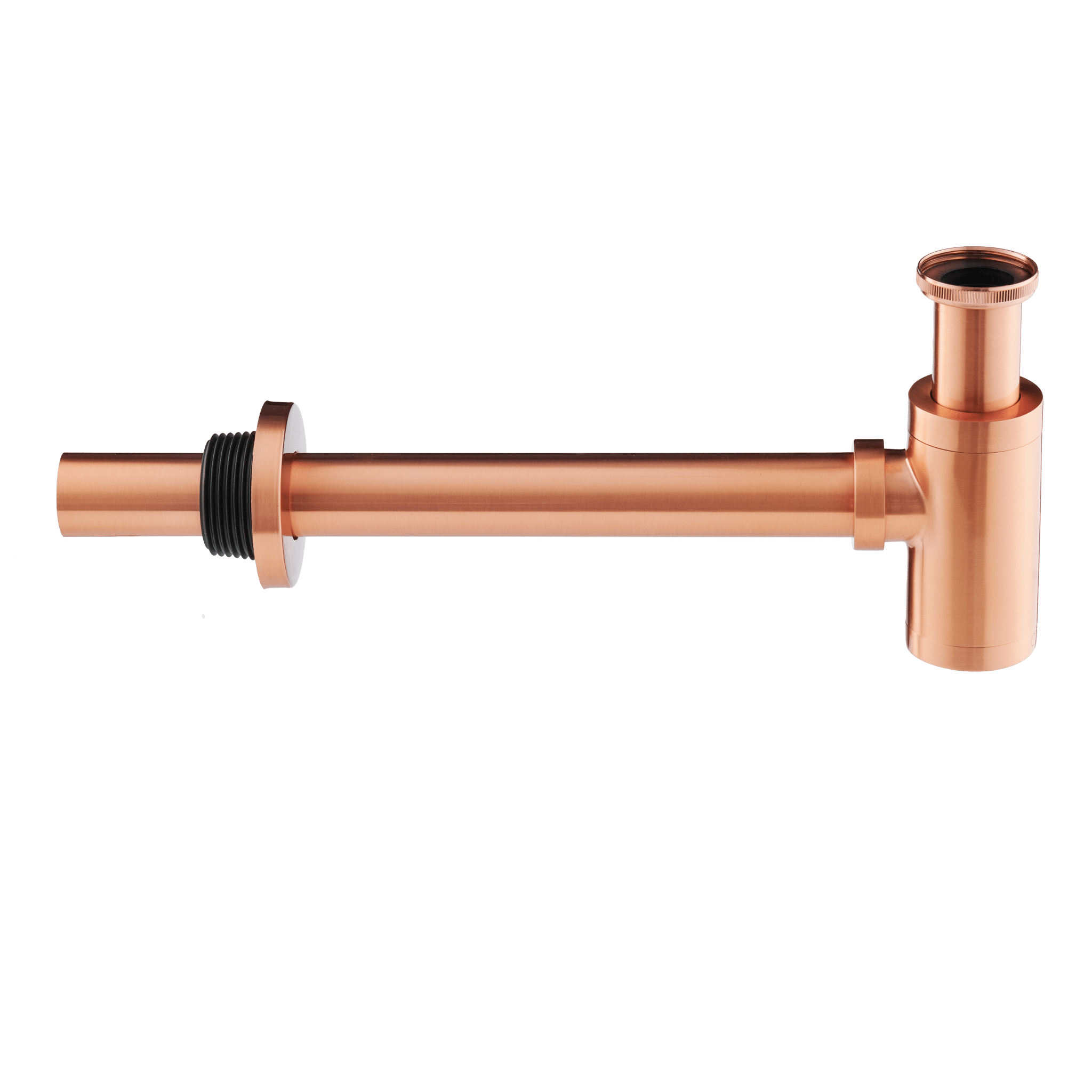 Scarini - Sifon - Mat Koper