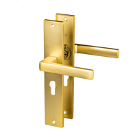 Mat gouden Alassio deurklink op lang schild met cilindergat PC 55 mm voor een luxe, moderne binnendeur