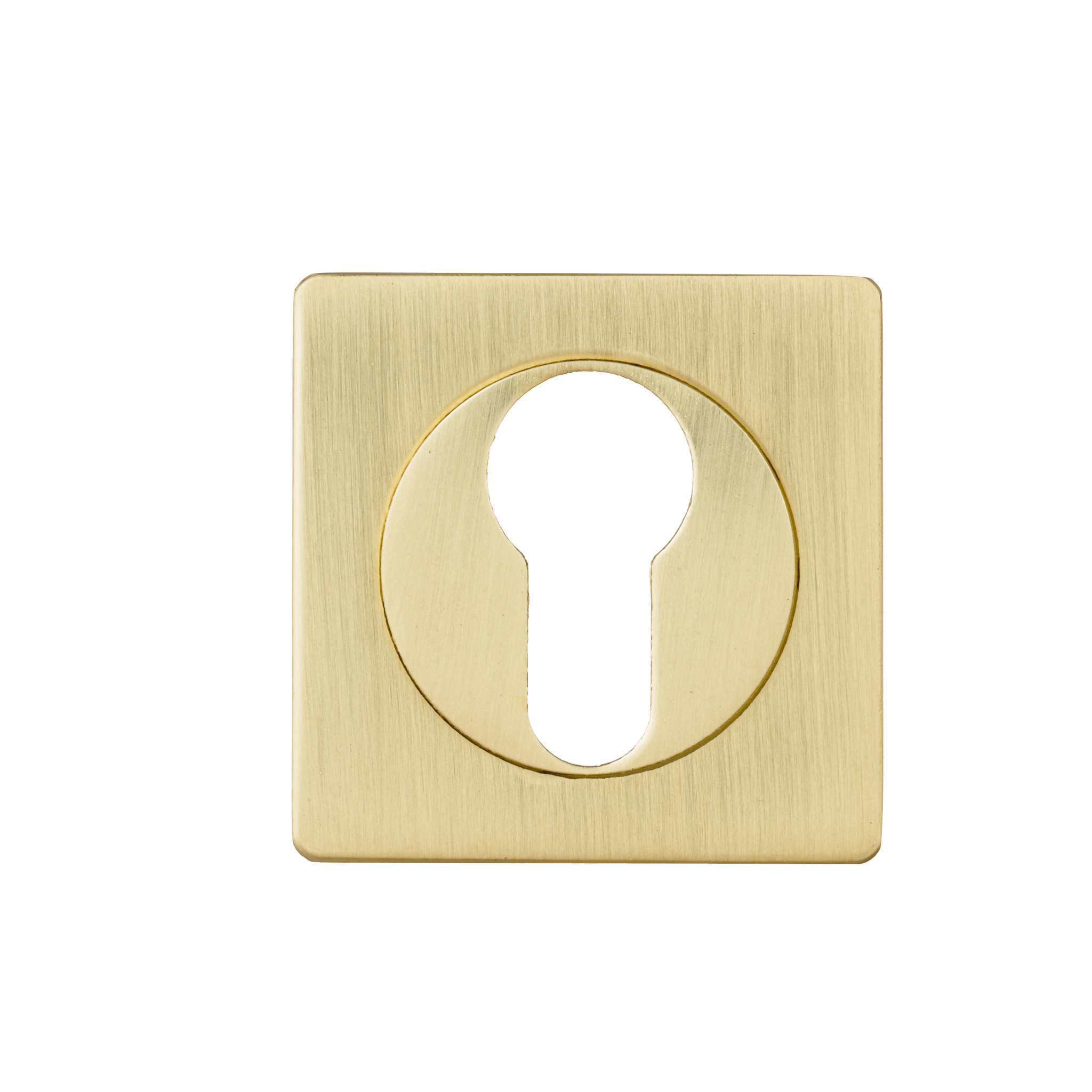 Stijlvolle mat gouden vierkante cilinderrozet 50 × 50 mm van hoogwaardig RVS met krasbestendige coating voor een moderne, minimalistische afwerking