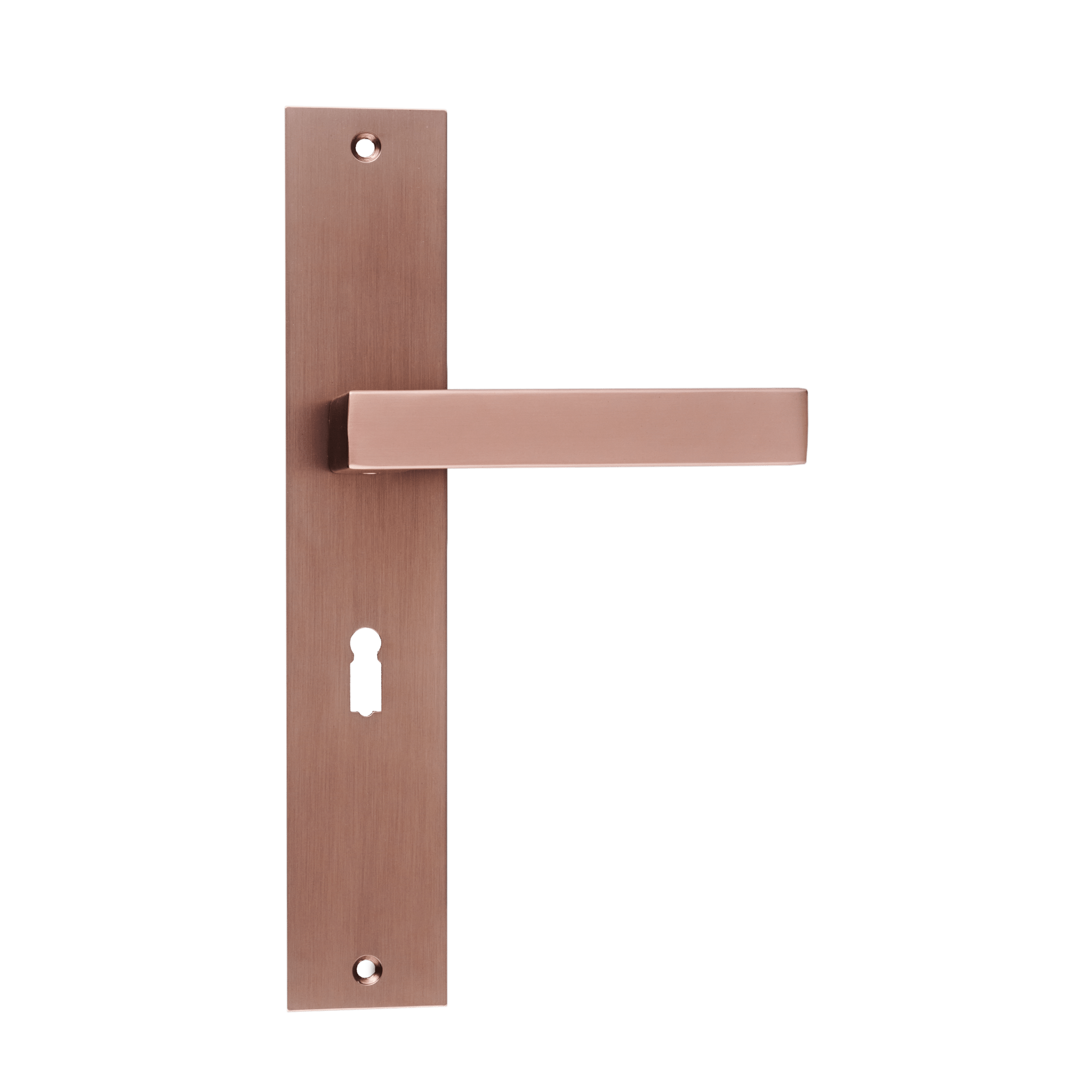 Geveerde Collodi deurbeslagset mat koper met soepel terugverend mechanisme en centraal sleutelgat