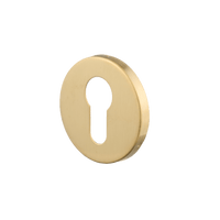 Ostiumhome® ronde cilinderrozet van RVS in mat gouden afwerking, diameter 2,5 cm, formaat 50x50 mm.