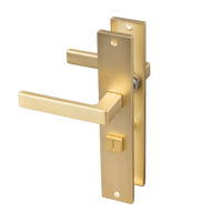 Luxe mat gouden RVS WC-deurklink Alassio op schild voor toilet-privacy 63 mm