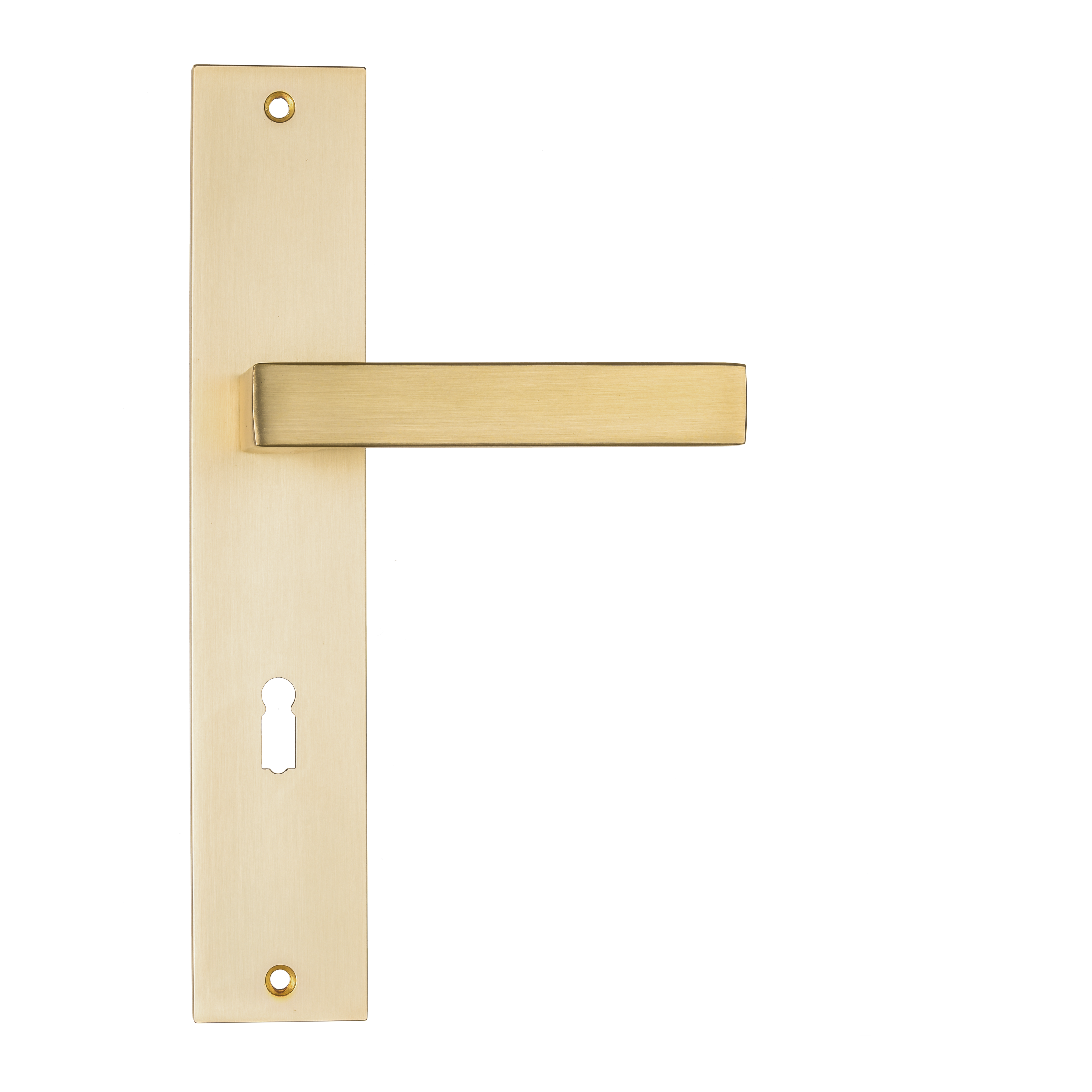 Ostiumhome® Alassio Türgriff auf Schild mit Schlüsselloch – 72 mm – Türbeschlag mit Schlüsselloch – 72 mm – geeignet für Innentüren – Mattgold