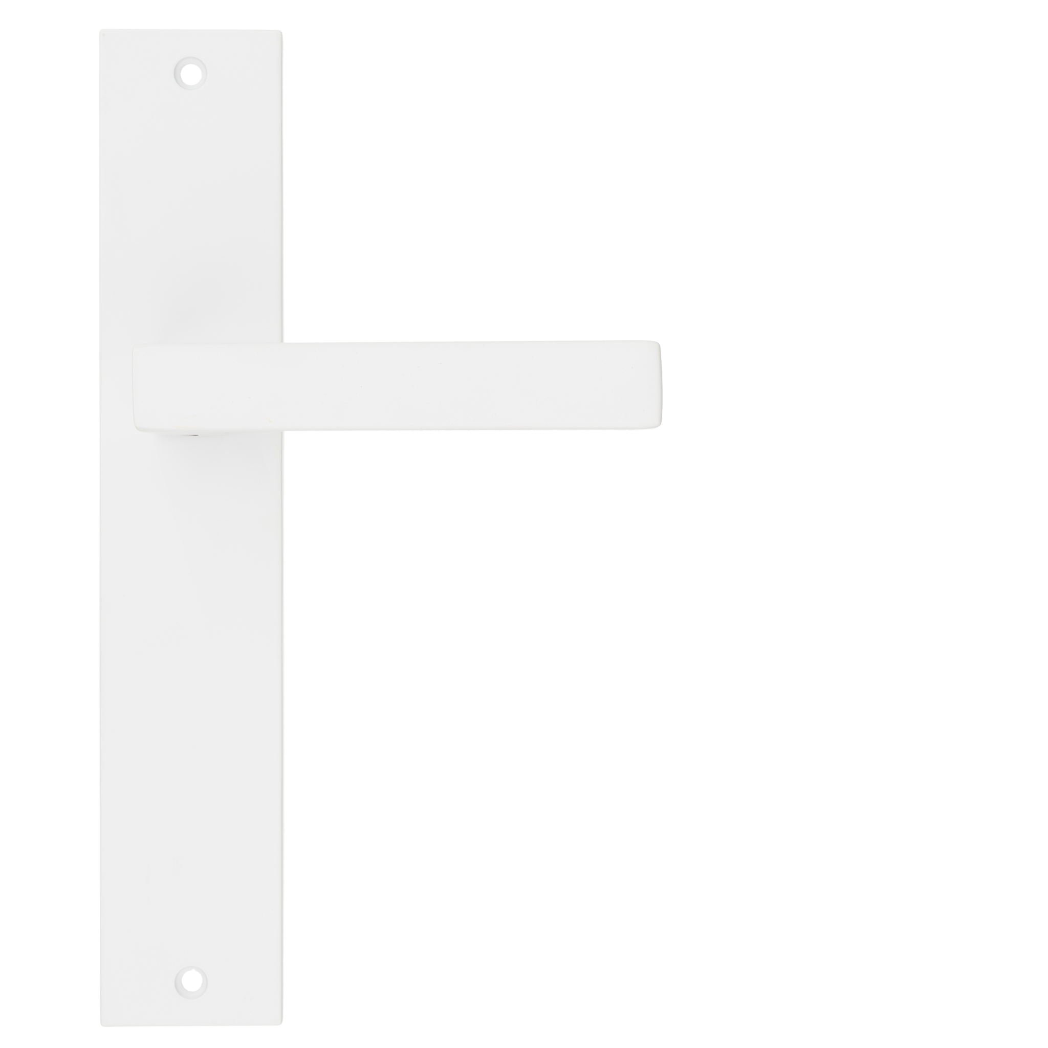 Lorto - Weiß