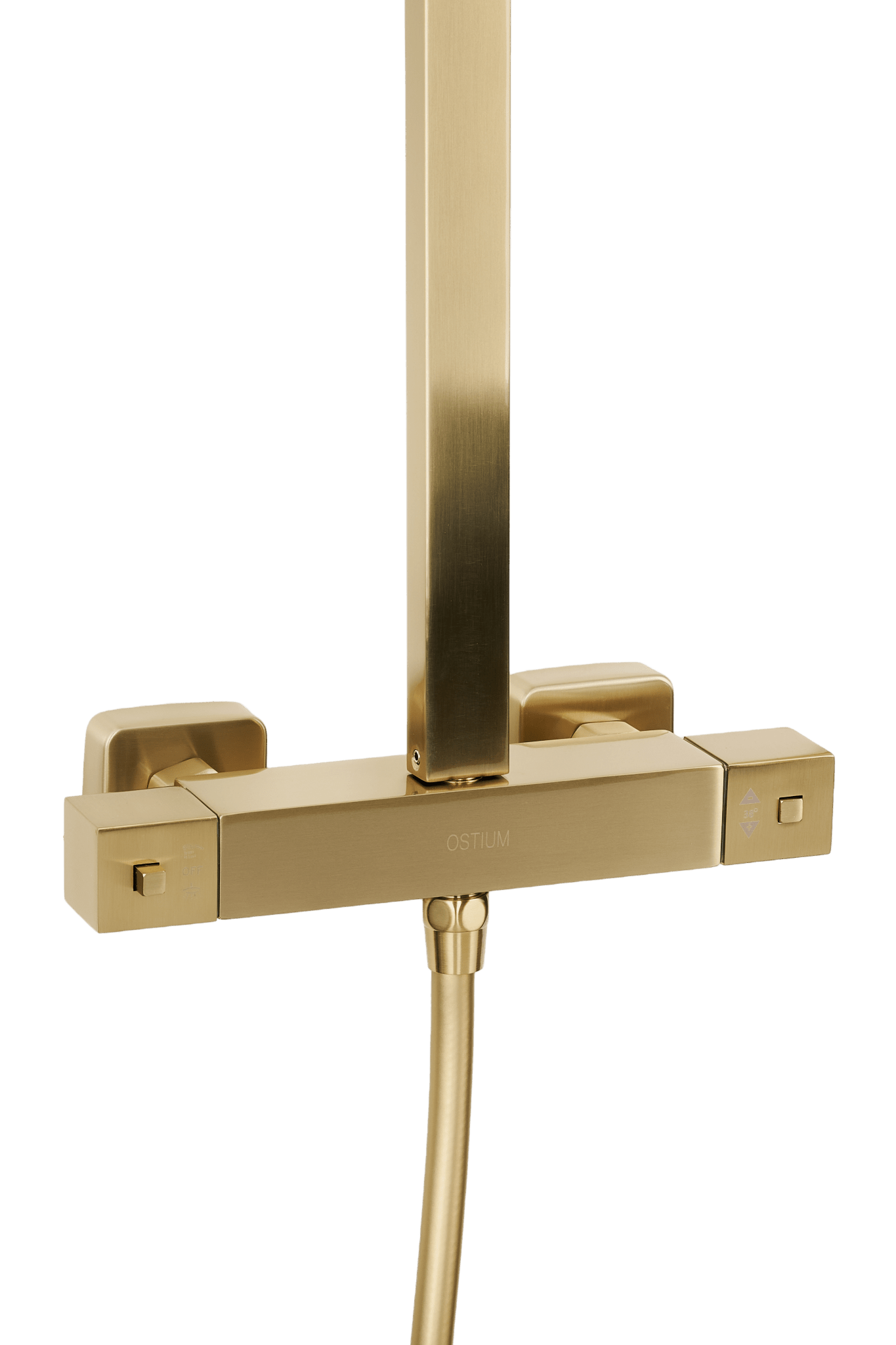 Voltri - Goldene Dusche - quadratisch