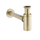 Scarini - Siphon - Or mat