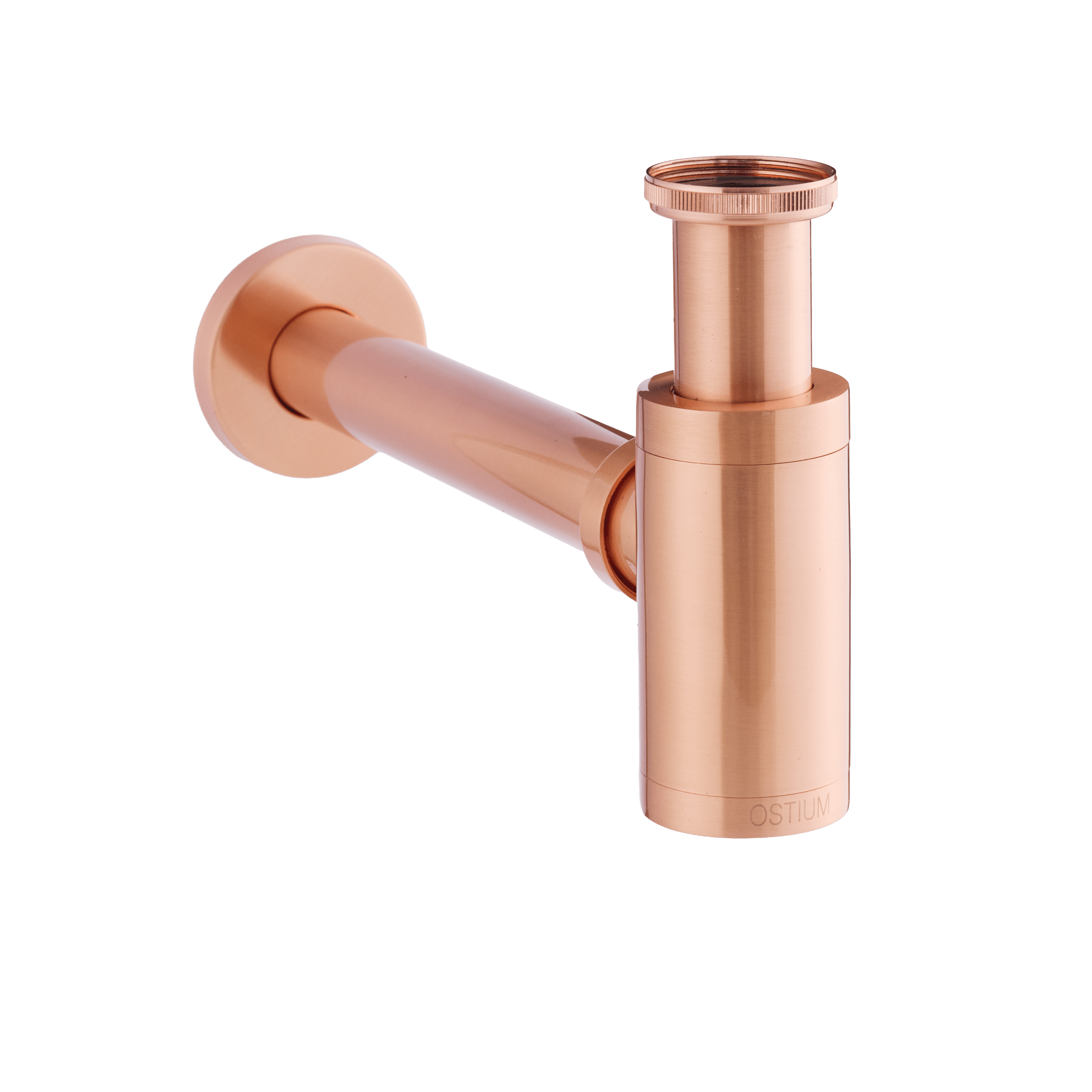 Scarini - Sifon - Mat Koper