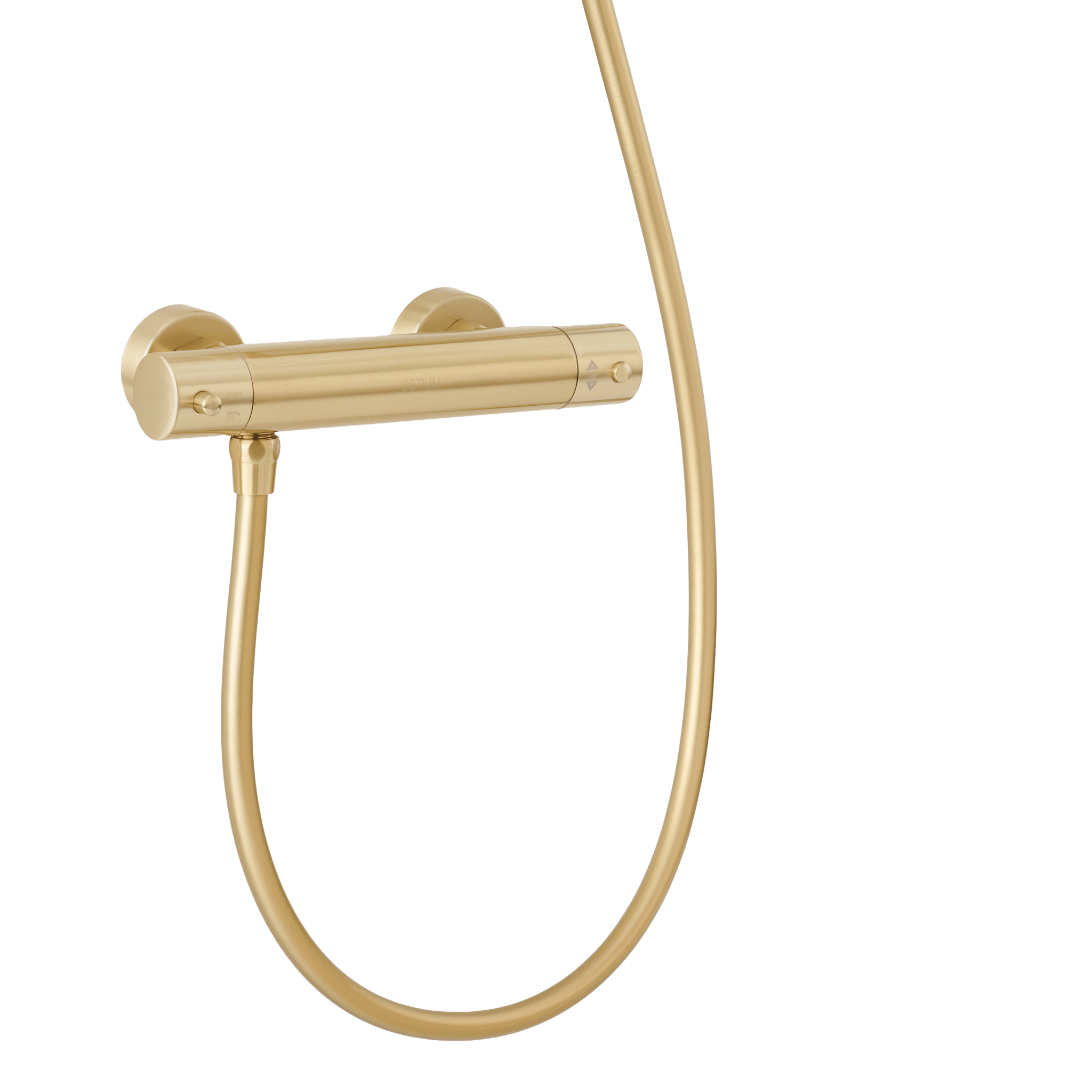 Delfi - Handdouche met Glijstang - Mat Goud