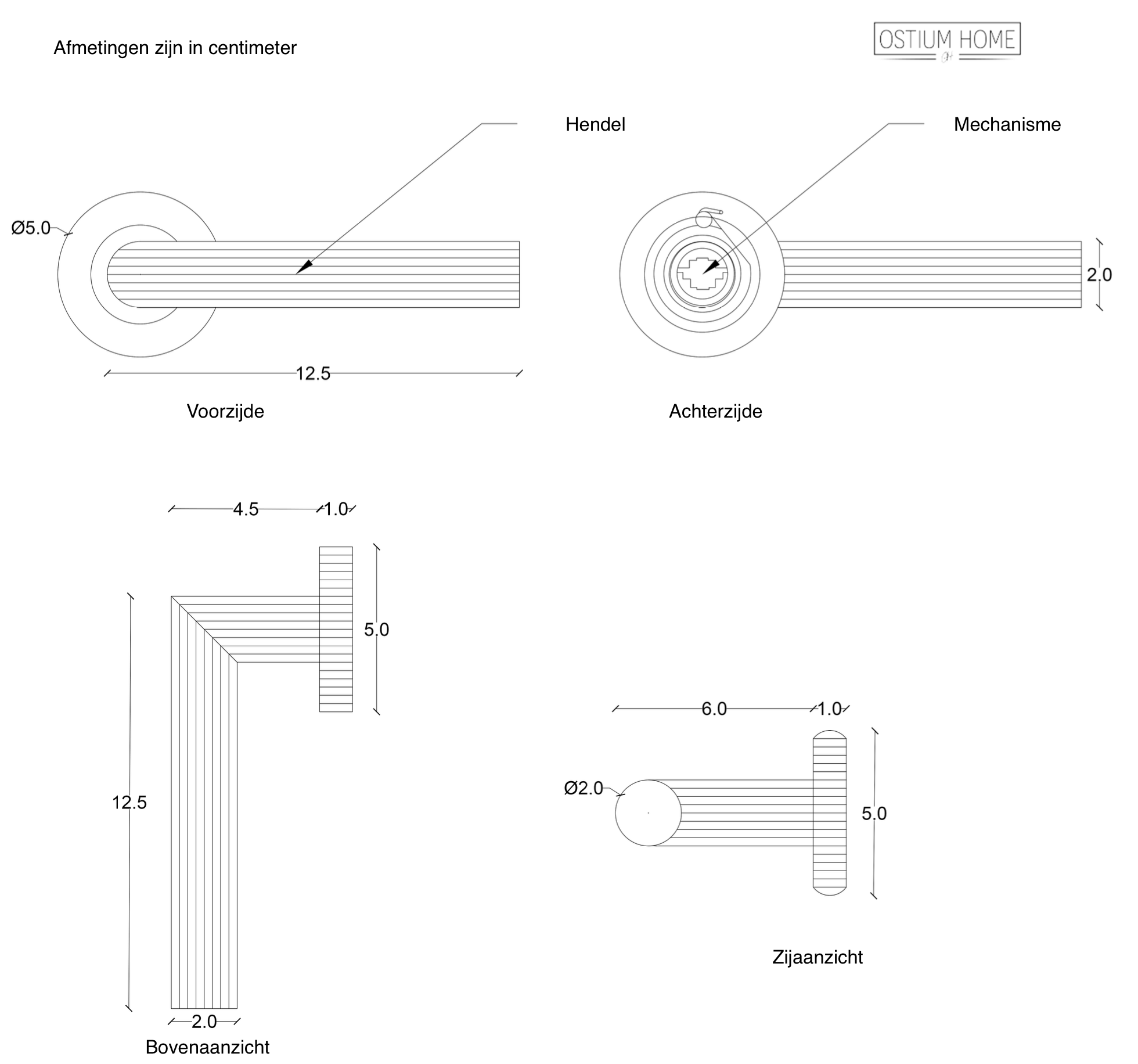 Ostiumhome® Avosso – Türgriff – Mattgold – auf runder Rosette