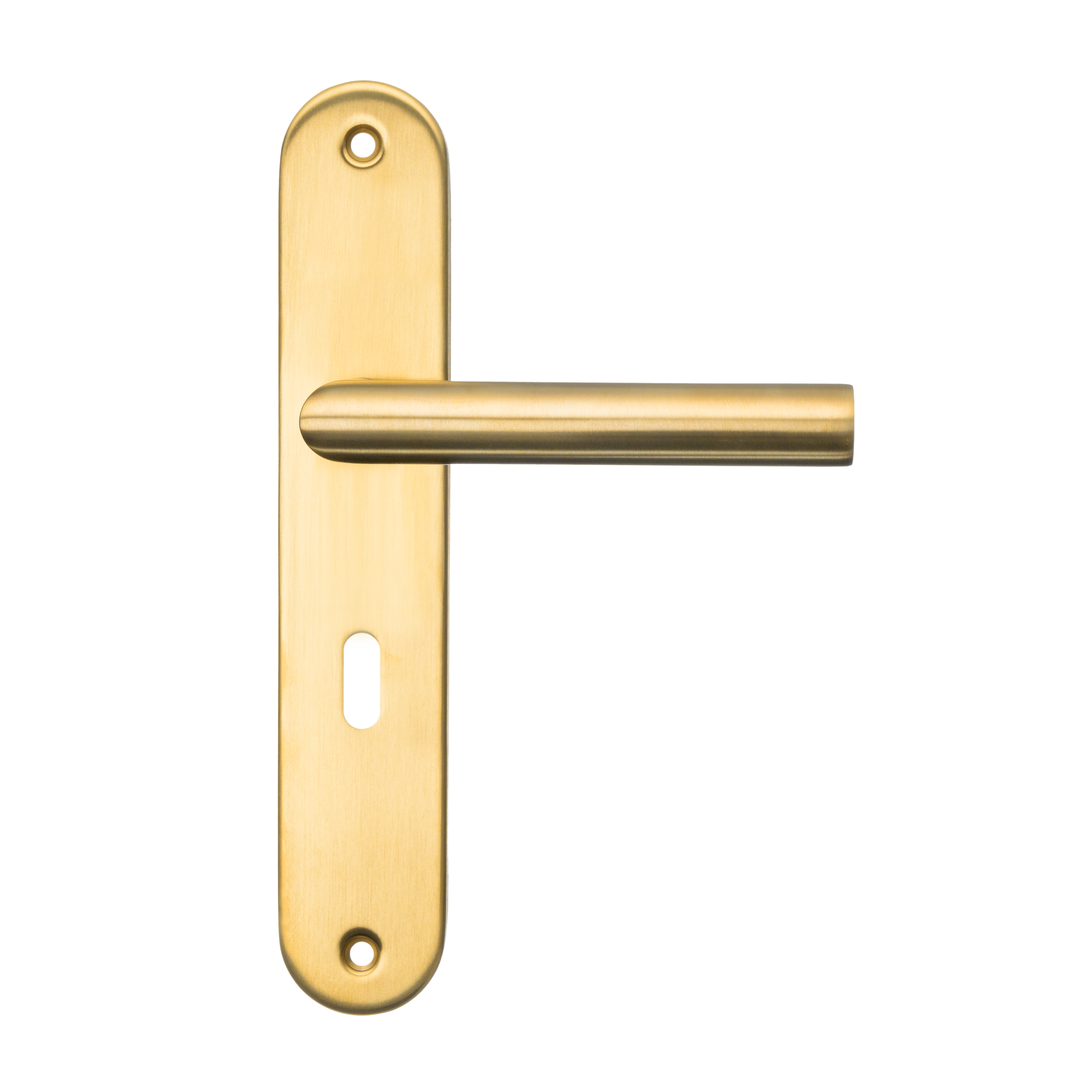 Türbeschläge Mattgold auf rundem Schild mit Schlüsselloch 56 mm – Andria
