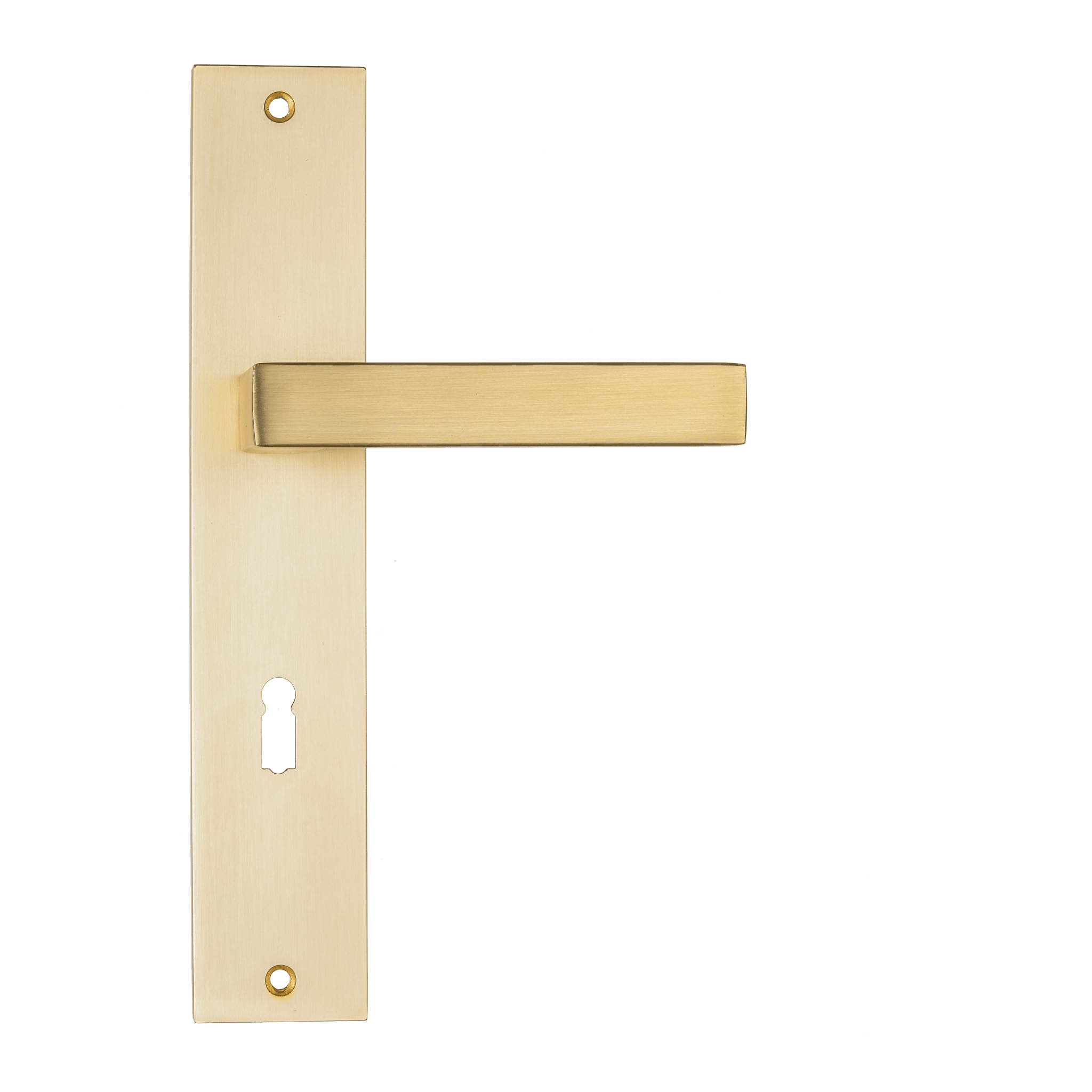 Complete set mat gouden Alassio deurbeslag op lang schild met geïntegreerd sleutelgat voor slotdeuren 
