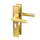 Alassio - Goldener Türgriff mit Zylinderausschnitt, gerades Langschild - PC 55mm