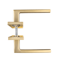 Luxe RVS Alassio deurklink mat goud met lang schild en sleutelgat hartafstand 56 mm voor moderne interieurs 
