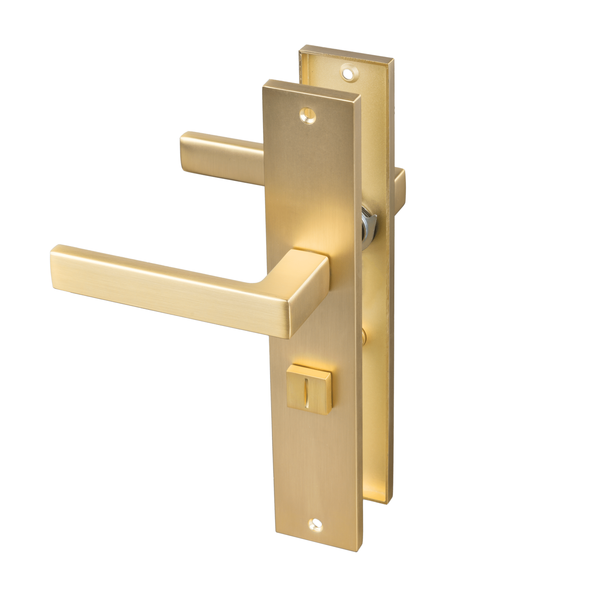 Luxe mat gouden RVS WC-deurklink Alassio op schild voor toilet-privacy 63 mm 
